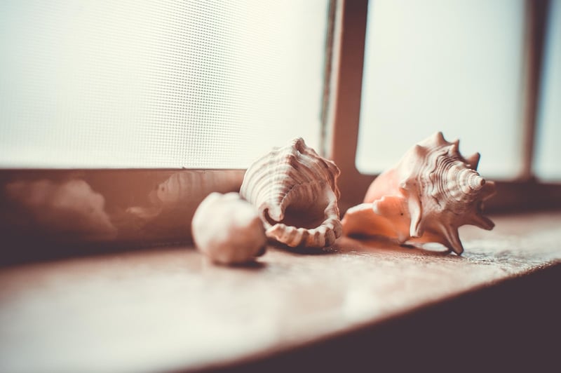 Windowsill Herbs